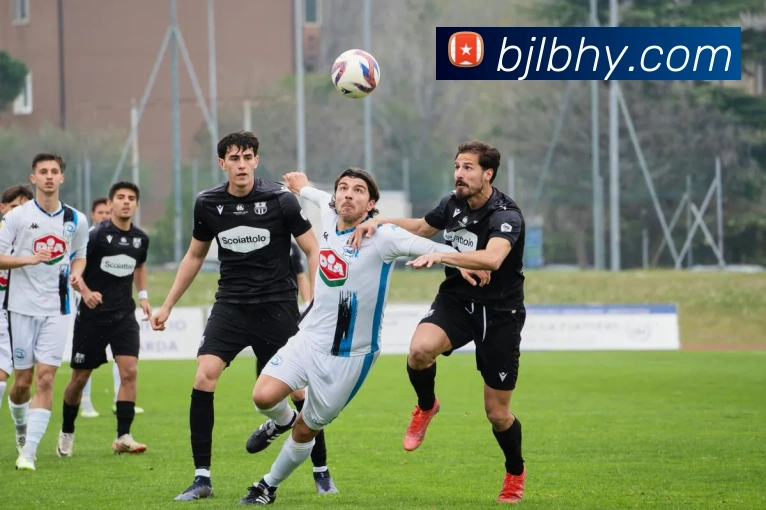 百家乐网站品牌故事