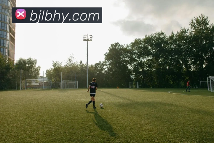 百家乐网站服务体系